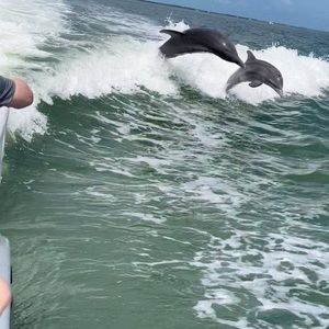 Meet your Posher, Janice